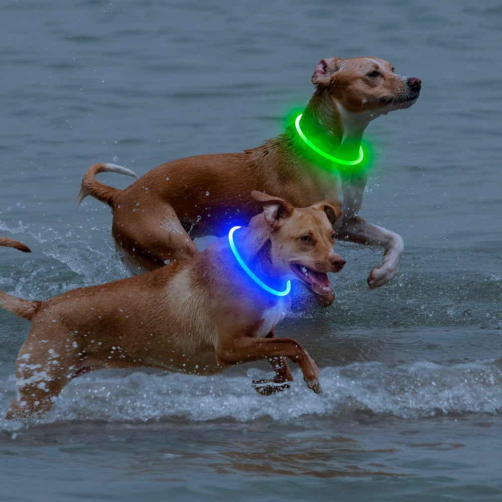 Bpawser LED dog collar waterproof and dustproof for all-weather reliability.