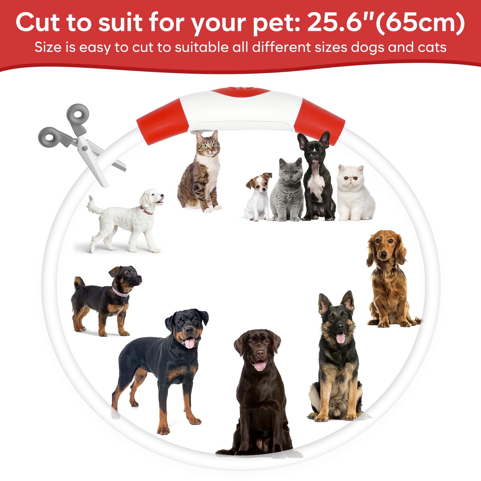 BPawser LED dog collar weatherproof design endures rain and dust for reliable use.