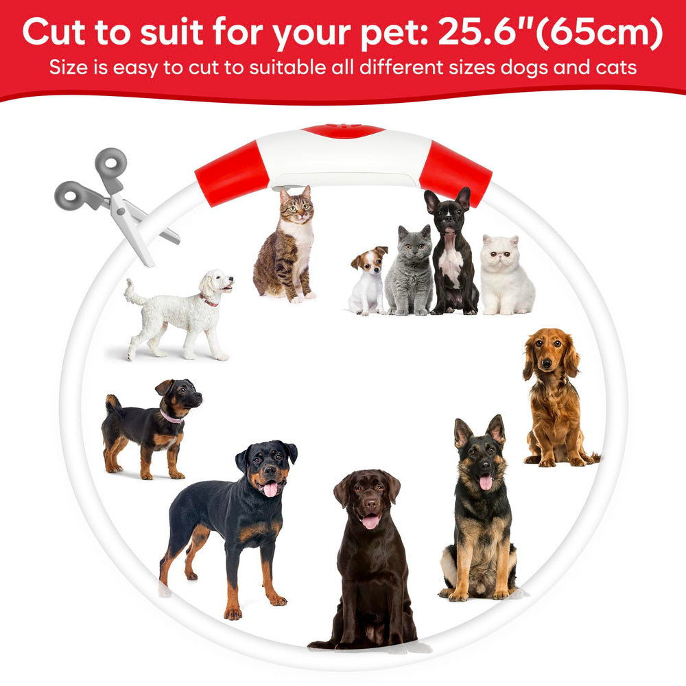 BPawser LED dog collar weatherproof design endures rain and dust for reliable use.