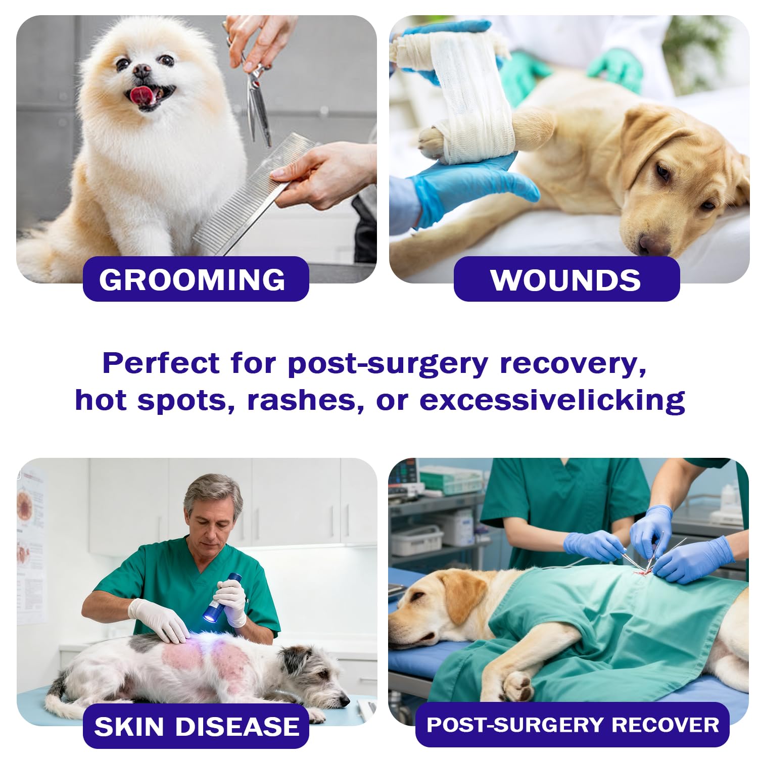 BQFLY breathable-mesh-cone-dog enables airy wear during recovery.