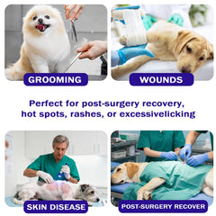 BQFLY breathable-mesh-cone-dog enables airy wear during recovery.