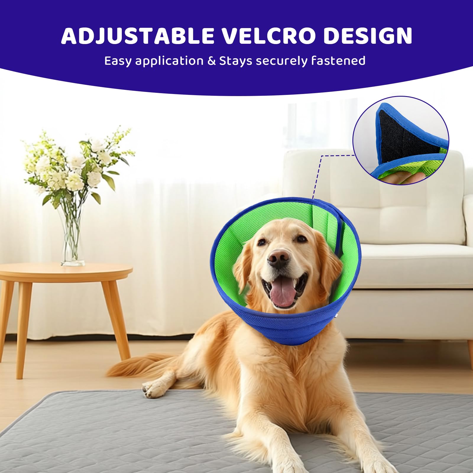 BQFLY collar talla-s-etiqueta: tamaño compacto perfecto para perros pequeños.