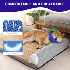 BQFLY soft dog cone puppy supports comfortable activity during healing