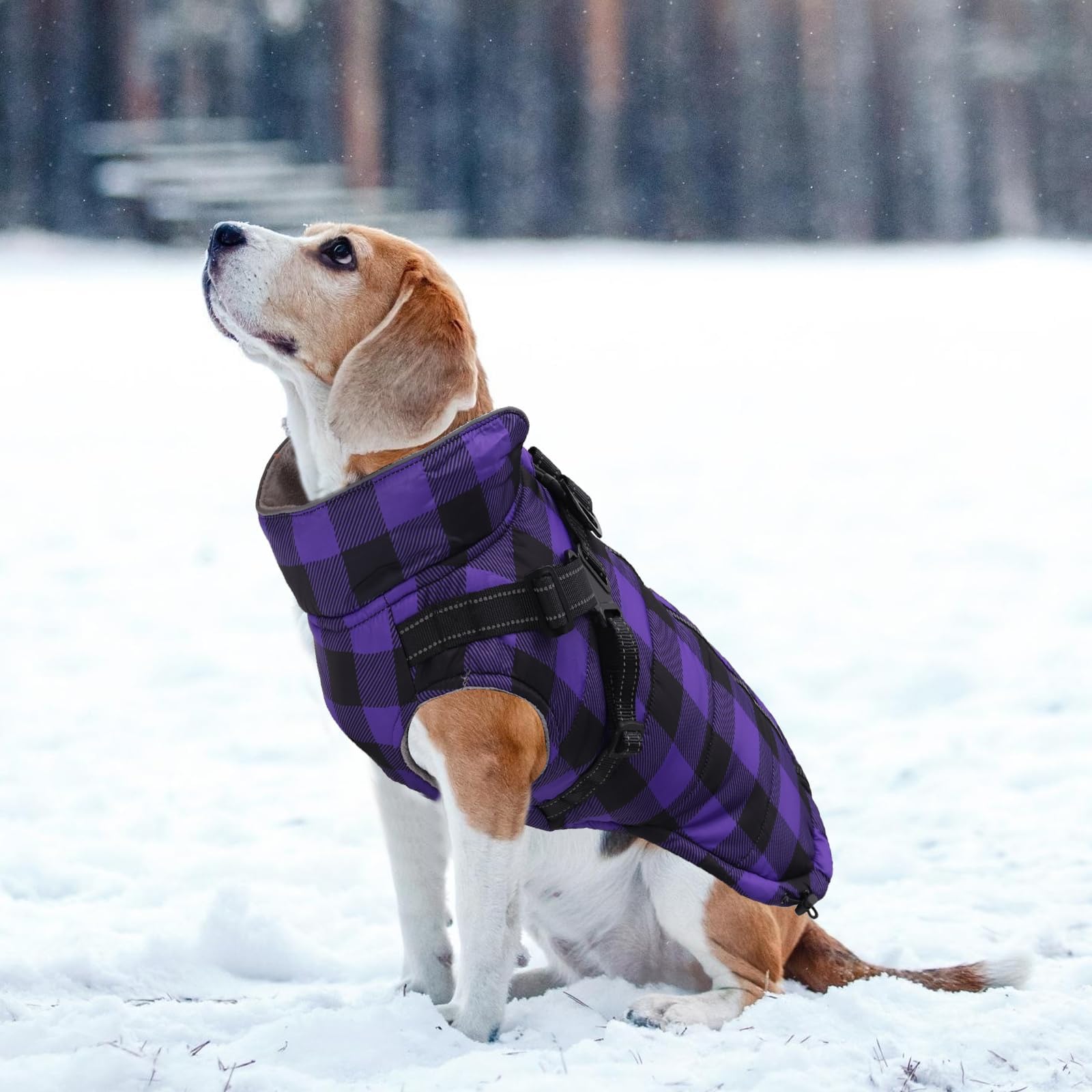 Brabtod dog coat machine-washable for easy care