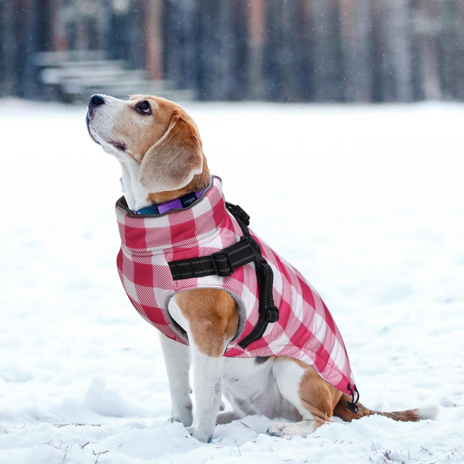 Brabtod dog winter jacket fleece lining visible for cozy warmth