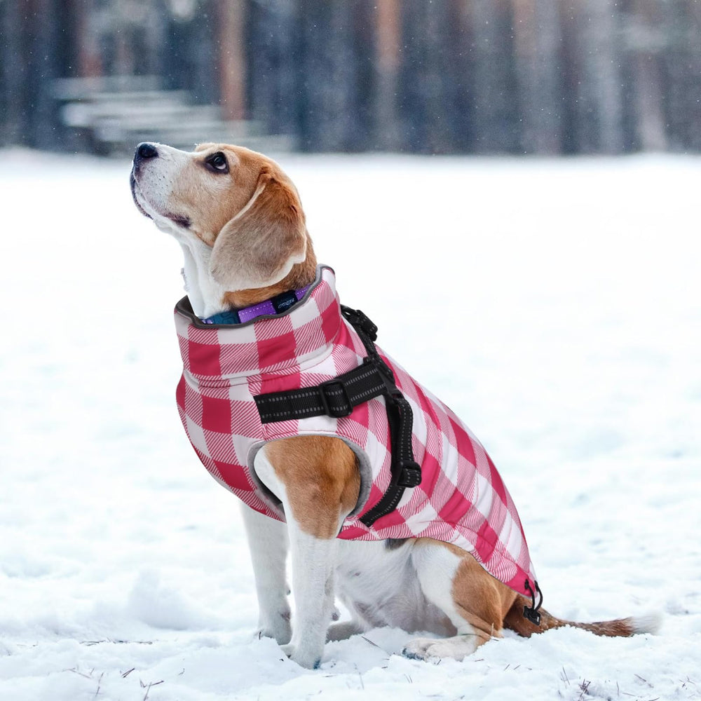 Brabtod dog winter jacket fleece lining visible for cozy warmth