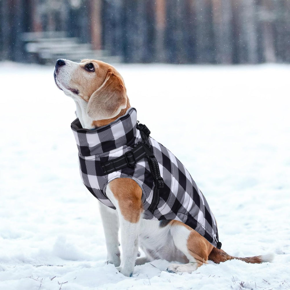 Brabtod dog winter jacket high neck shields against cold wind