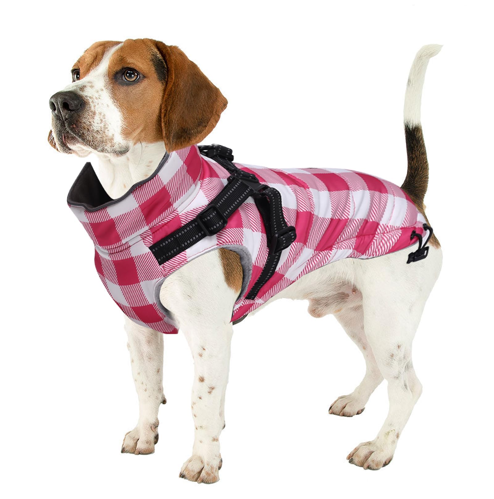 Brabtod dog winter jacket machine washable label indicating easy cleaning