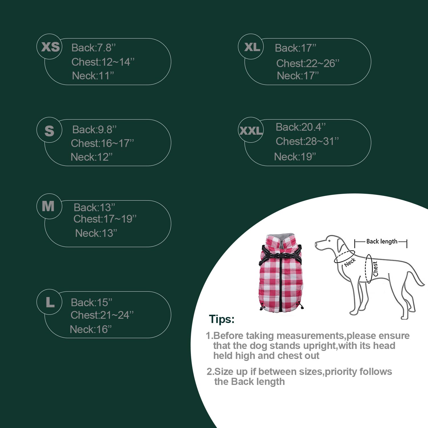 Brabtod dog winter jacket reflective strip detail for safety at dusk