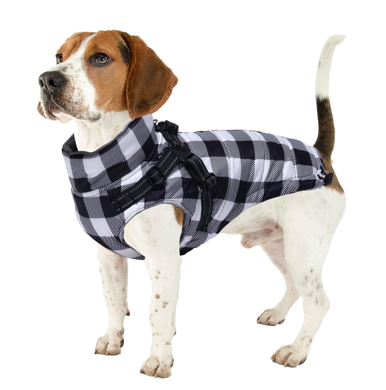 Brabtod dog winter jacket size chart helps you choose fit