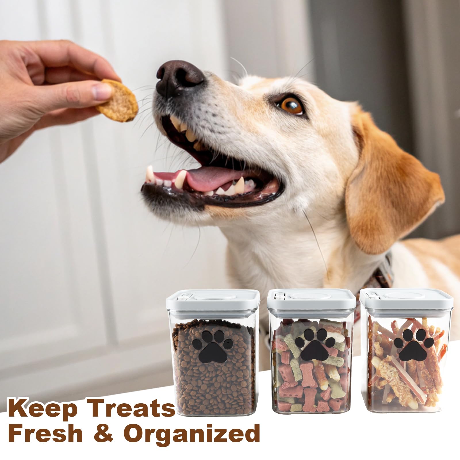 Brabtod pop-design seal keeps treats crisp and moisture-free.