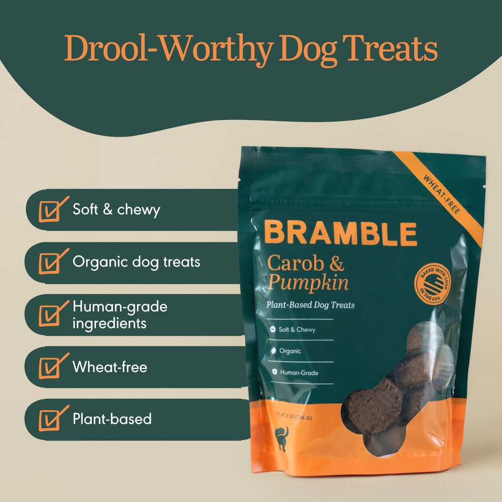 BRAMBLE dog treats soft-chewy close-up highlighting chewy texture and real ingredients