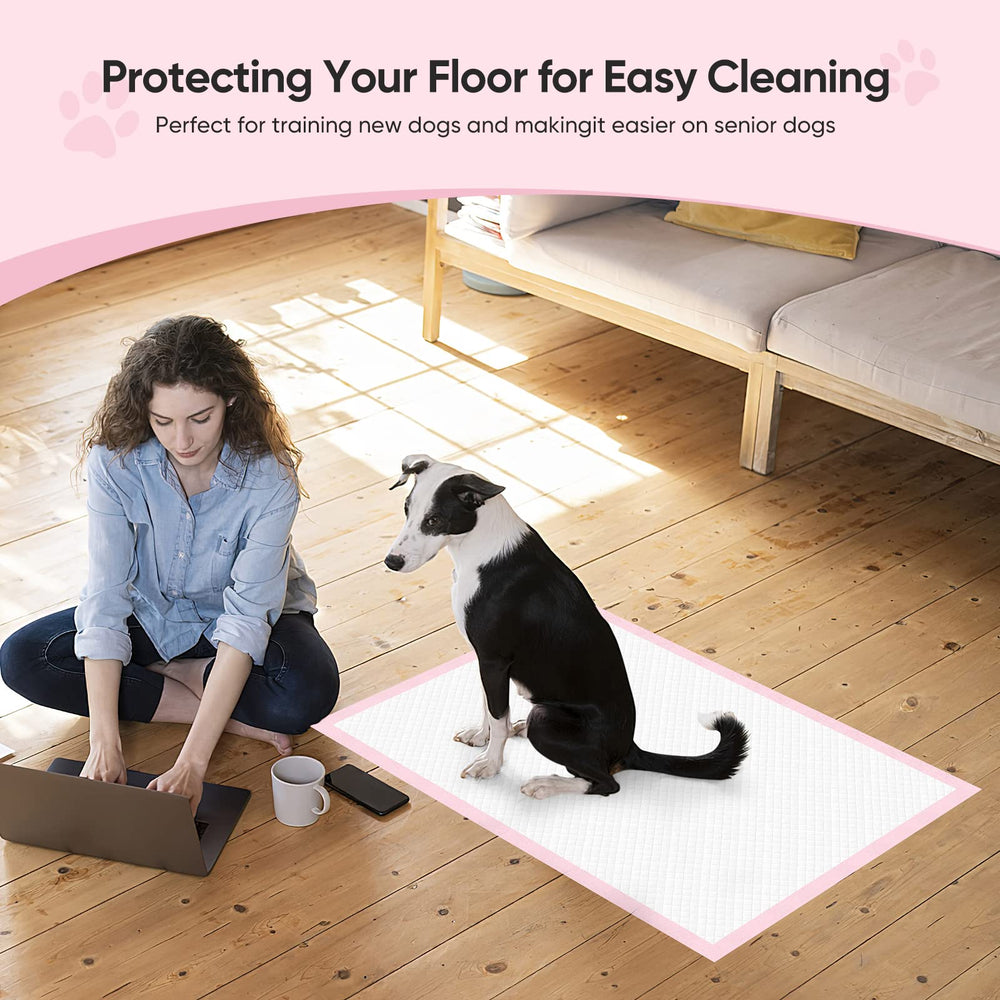 Brandon-super packaging box full pack for convenient 100-count supply