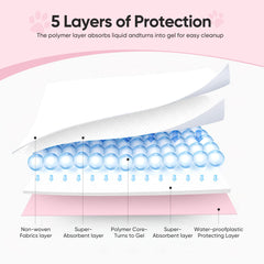 Brandon-super training pad five-layer absorption highlights fast liquid uptake