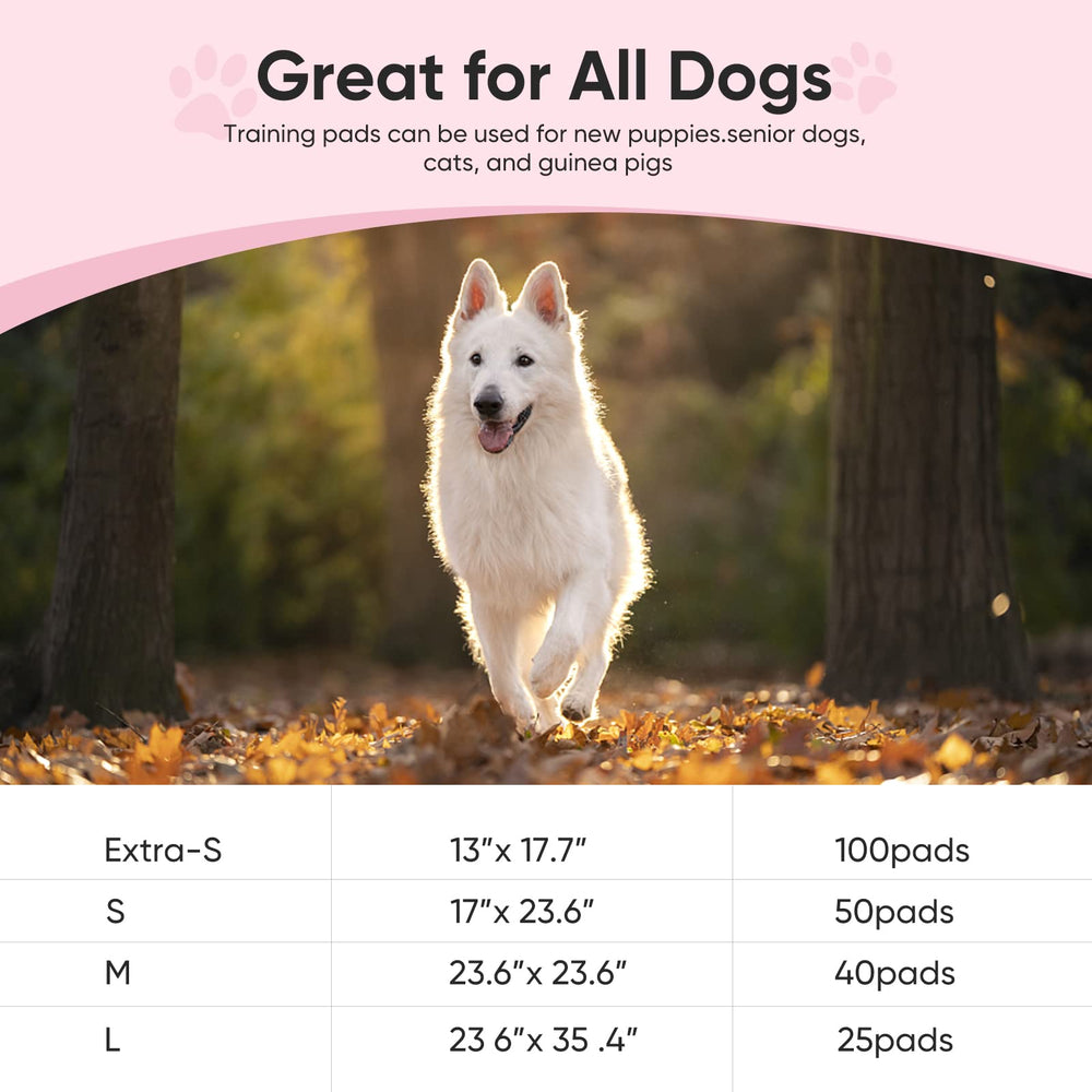 Brandon-super training pad attractant closeup shows built-in guide to pad