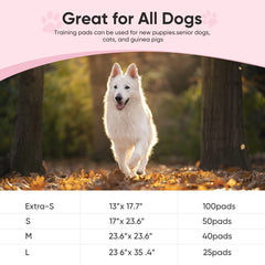 Brandon-super training pad attractant closeup shows built-in guide to pad