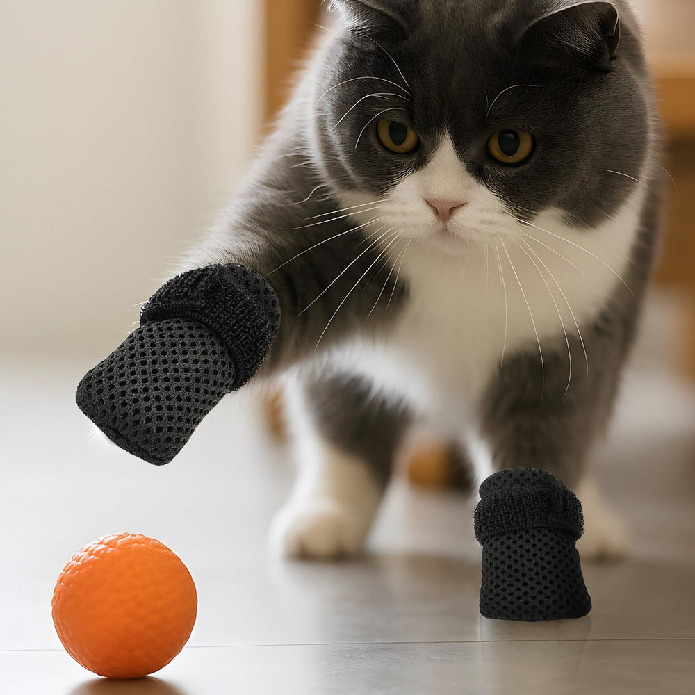 Braxan cat paw measure guide image ensuring proper fit.