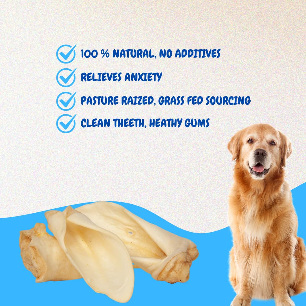 Brazilian Pet cow ears closeup: natural texture for satisfying bites