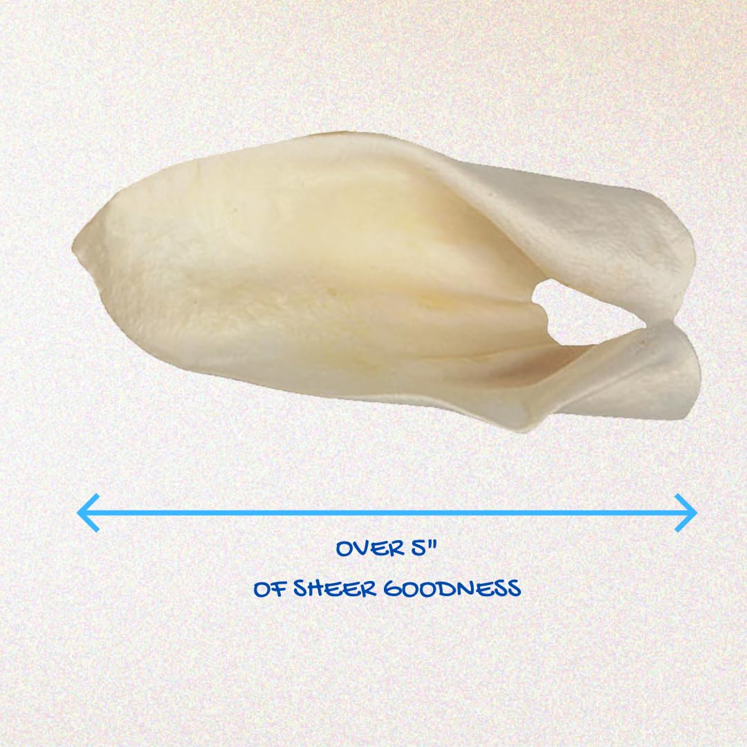 Brazilian Pet cow ears free-range cattle detail: quality origin and safety