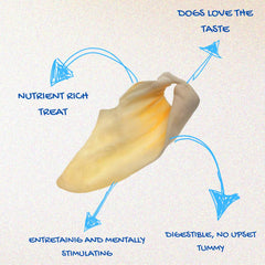 Brazilian Pet cow ears pack shot 2: size and value for durable chews