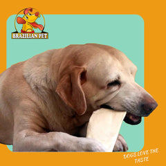 Brazilian Pet Premium Thick Cut Chips 5-pound package for long-lasting chew.
