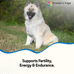 Revival Breeder's Edge Oxy Stud bottle label, easy-to-administer multivitamin for male dogs and cats