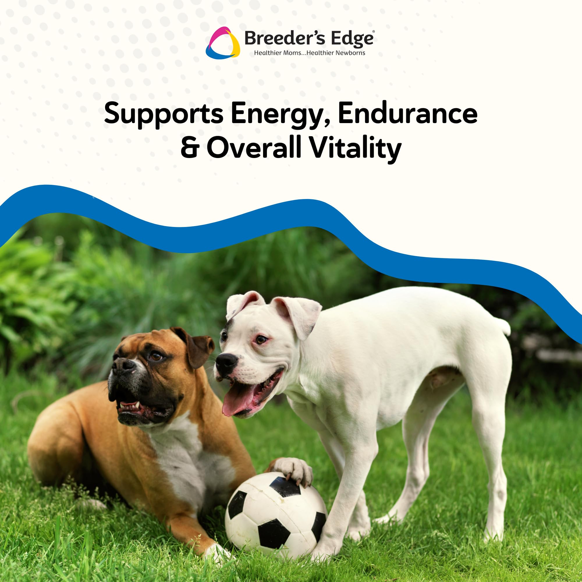 Revival Breeder's Edge Oxy Stud male-dog health visual showing supplement benefits