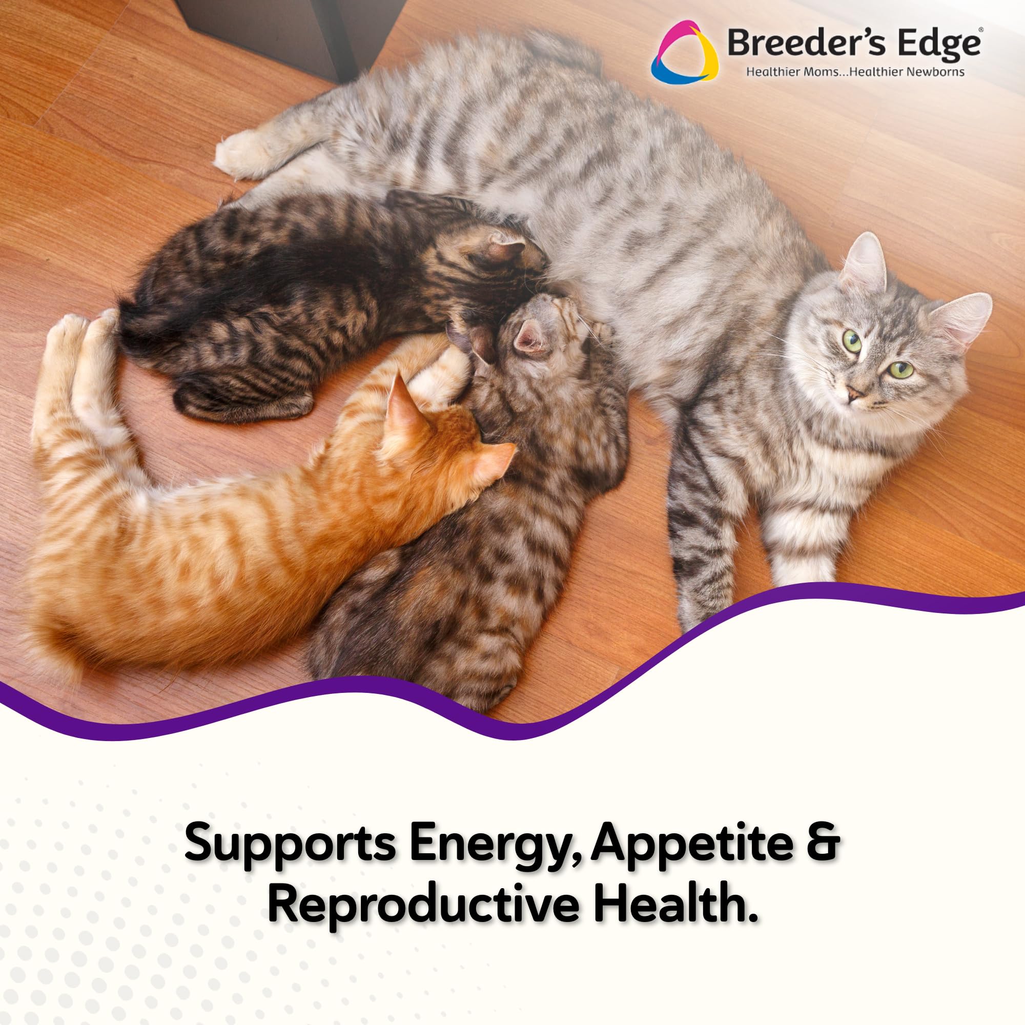 Breeders Edge Kitten Lyte scoop dispensing for easy administration.