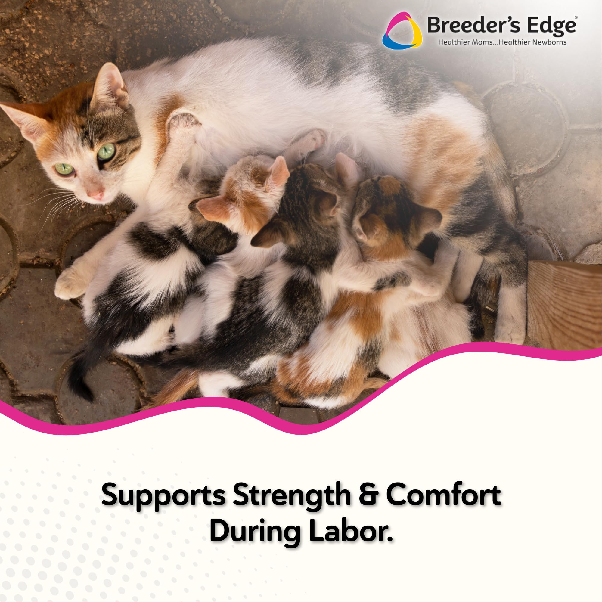Breeder's Edge Oral Cal Plus Gel highlights triple calcium sources for balanced support.