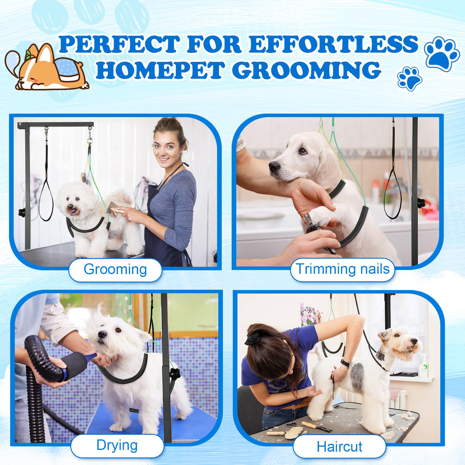 Breeze Touch small-dog grooming use demonstrates suitability for tiny breeds at home