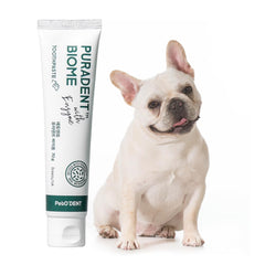 Breezytail PetO’Dent toothpaste tube highlights enzymatic cleaning for dogs' teeth