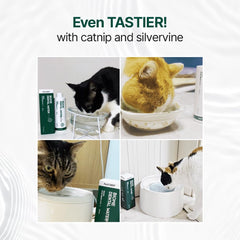 Breezytail PetO’Dent cat-drinking-water scene demonstrates hydration-friendly routine.