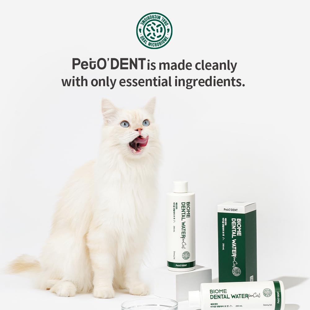 Breezytail PetO’Dent multi-cat-home shows safe, stress-free dental care in households.