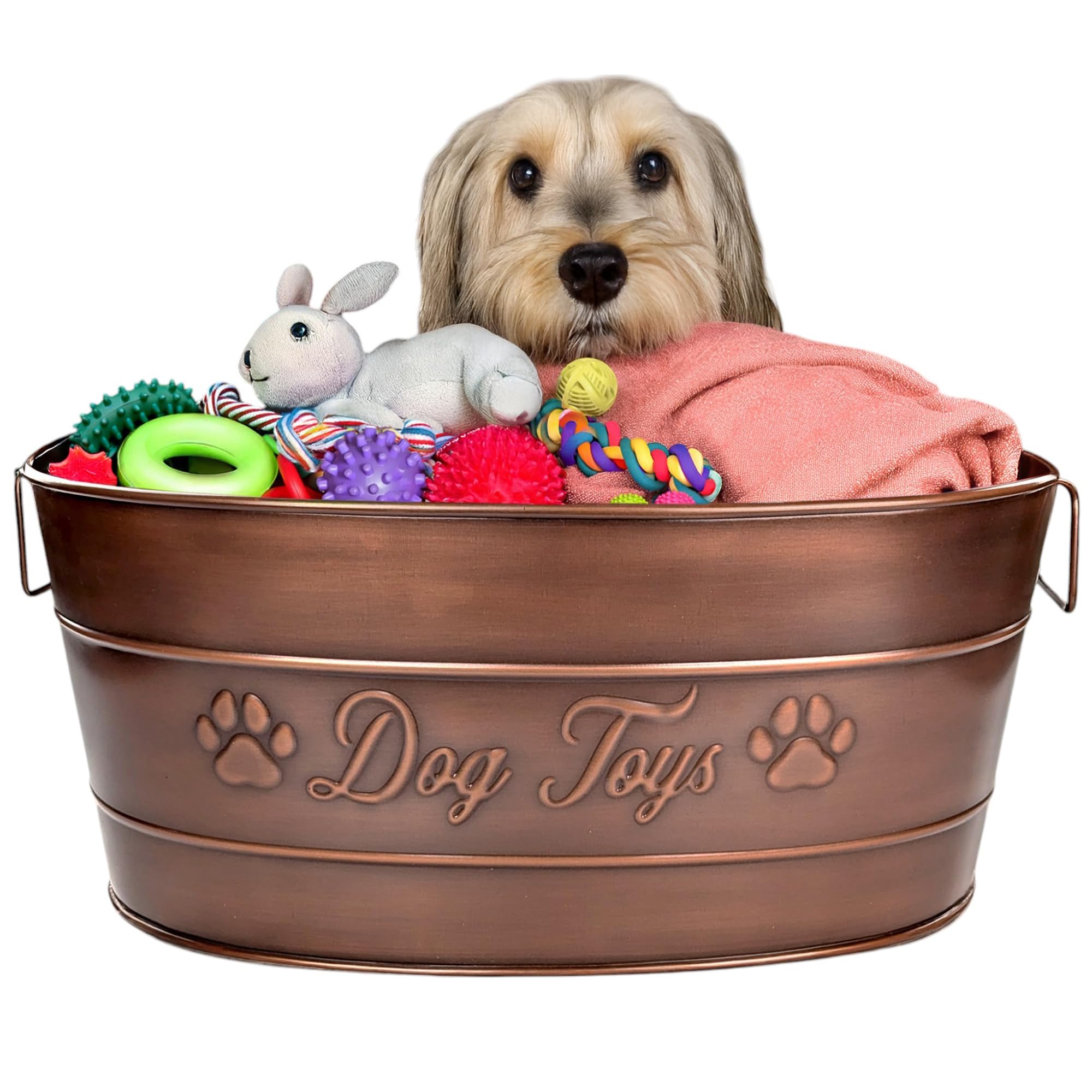 BREKX Dog Toy Bin styled in a cozy room corner for decor and function