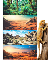 Breling reptile background gobi desert cactus stone texture enhances terrarium realism