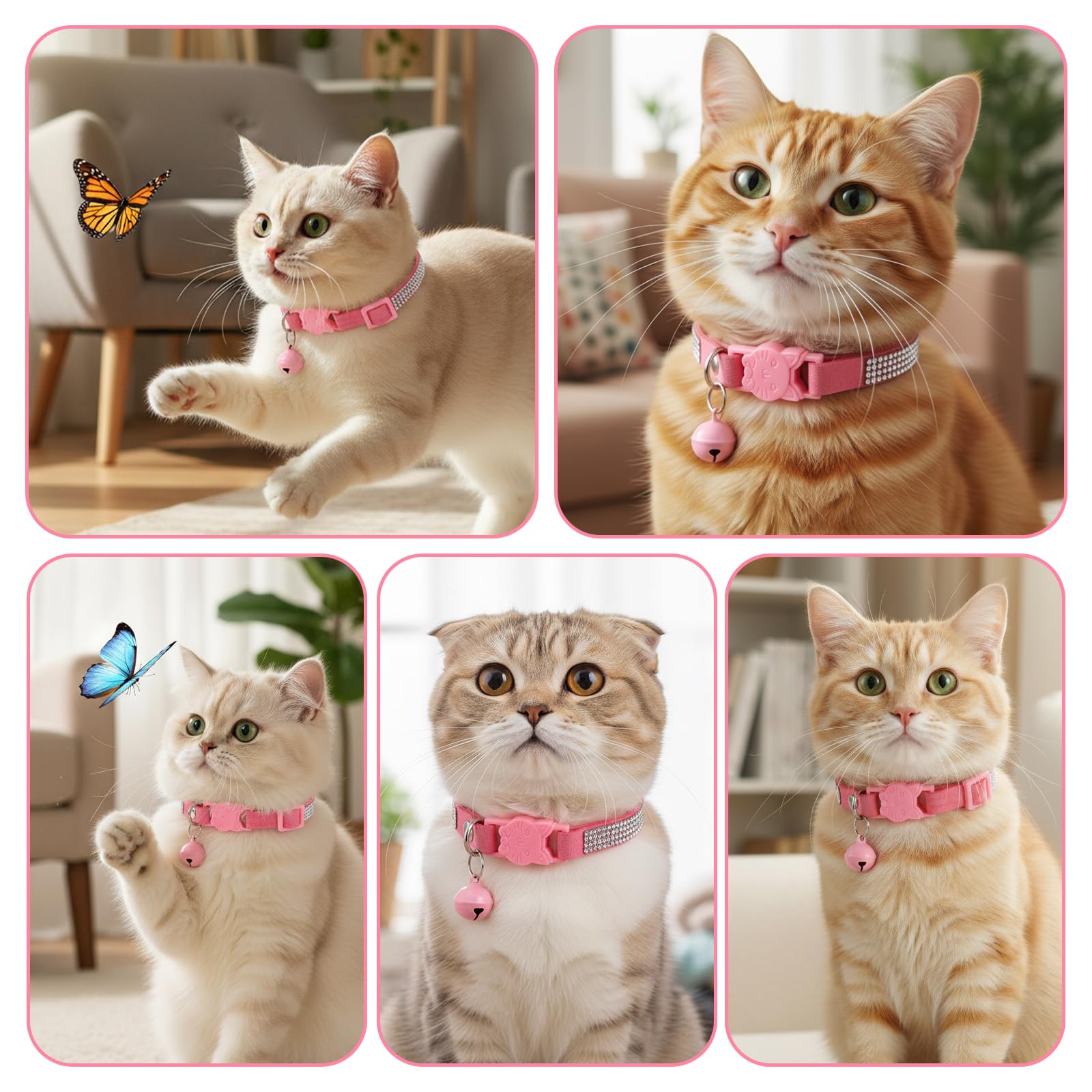 Bremorou packaging pink rhinestone collar image conveys thoughtful gift-ready presentation