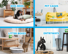 Bright Air 6-pack box highlights easy replacement cadence for busy homes