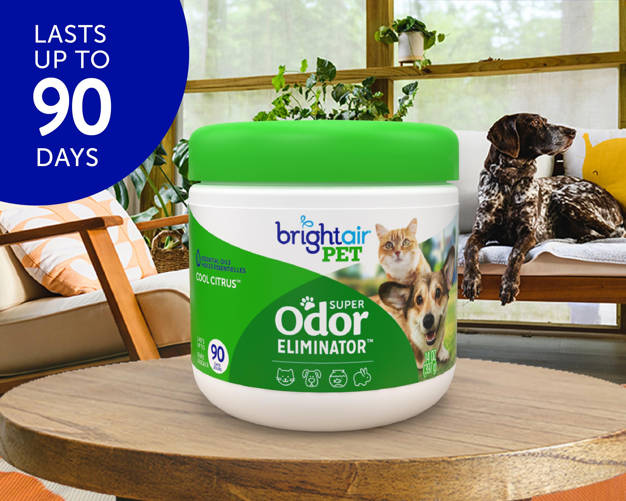 Bright Air odor eliminator gel in jar demonstrates plant-based freshness