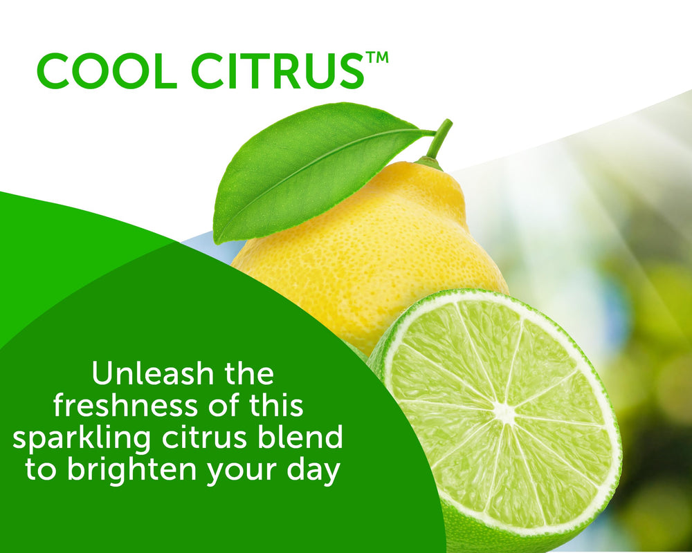 Bright Air shelf display with cool citrus gel evokes clean fragrance