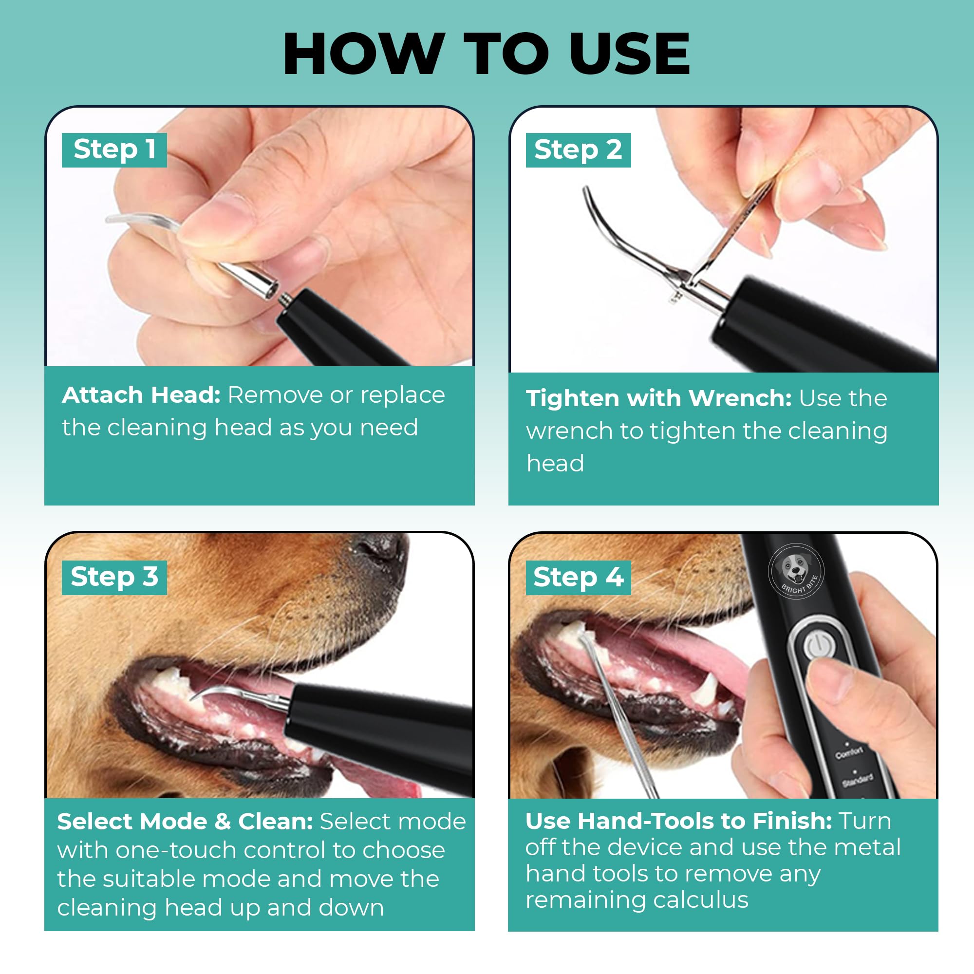 BRIGHT BITE auto-stop safety feature protects gums during use.