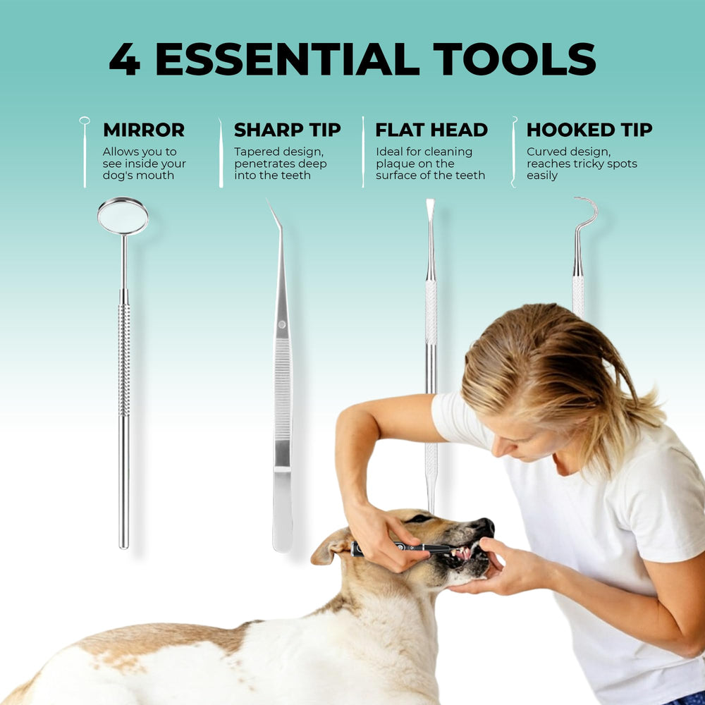 BRIGHT BITE USB-C charging kit enables convenient cordless sessions.