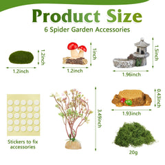 BrightRow Jumping Spider Enclosure acrylic terrarium offering a 360-degree view for monitoring