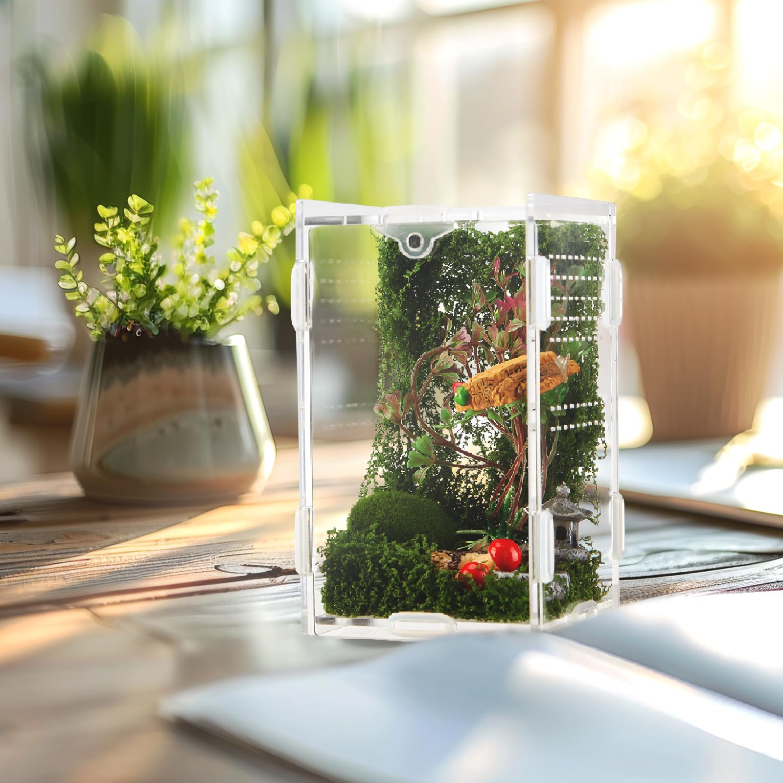 BrightRow Jumping Spider Enclosure acrylic material provides clear visibility and sturdy design