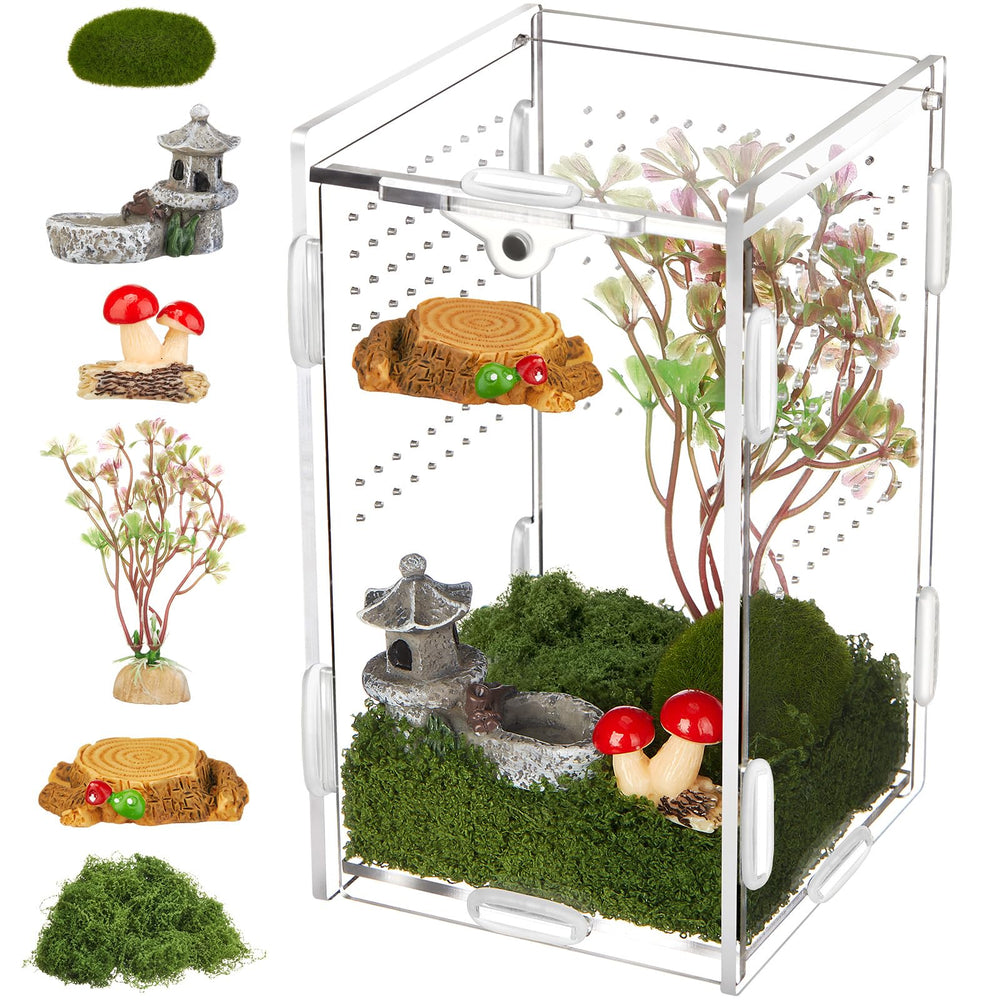 BrightRow Jumping Spider Enclosure front view, a compact habitat for desktop observation