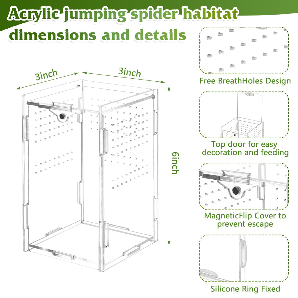 BrightRow Jumping Spider Enclosure inside setup with mini figurines for a cozy habitat