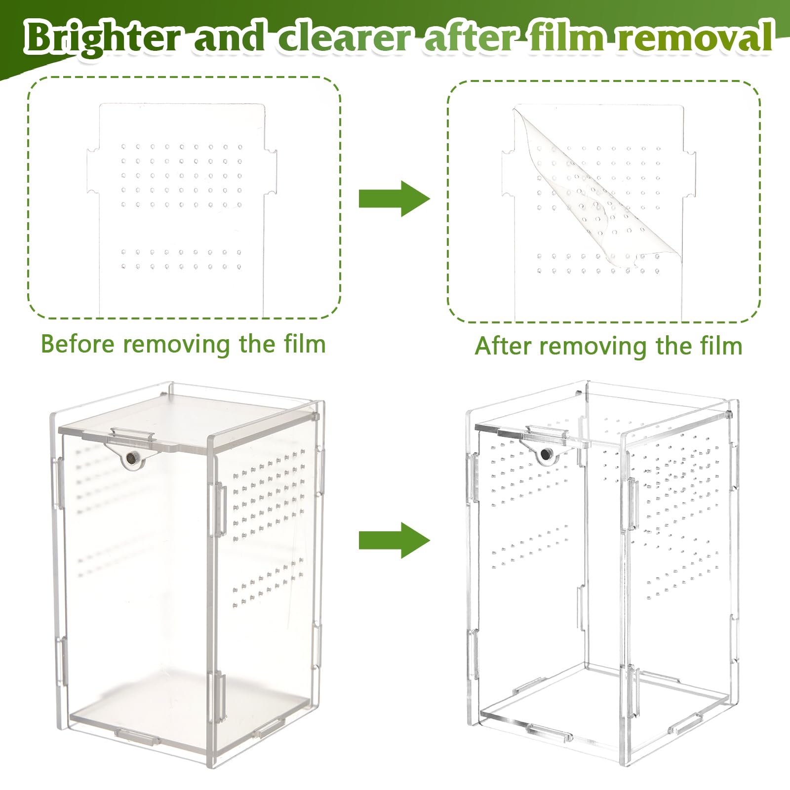 BrightRow Jumping Spider Enclosure packaging with quick-assembly components for fast setup