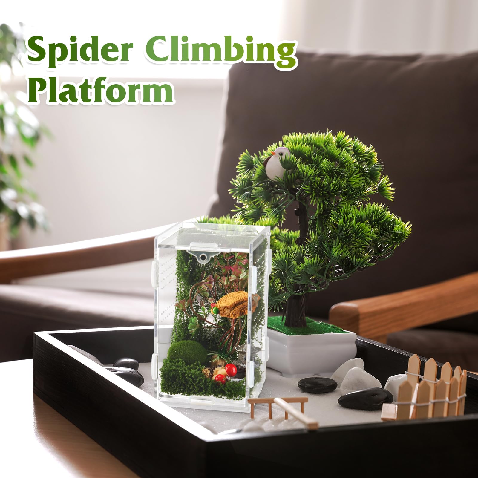 BrightRow Jumping Spider Enclosure size 3x3x6 inches fits compact desktops and shelves