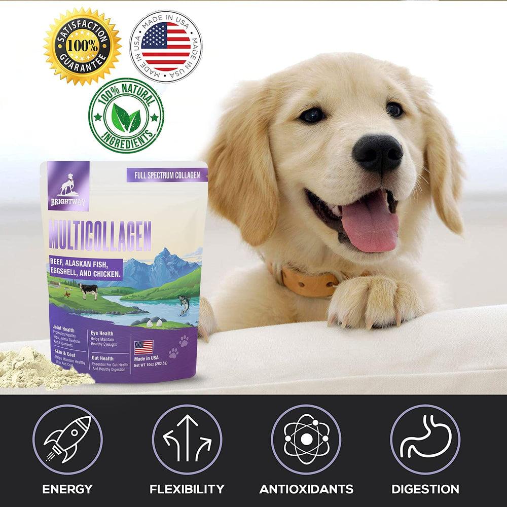 Brightway Pets eggshell membrane closeup showcasing joint-support components.