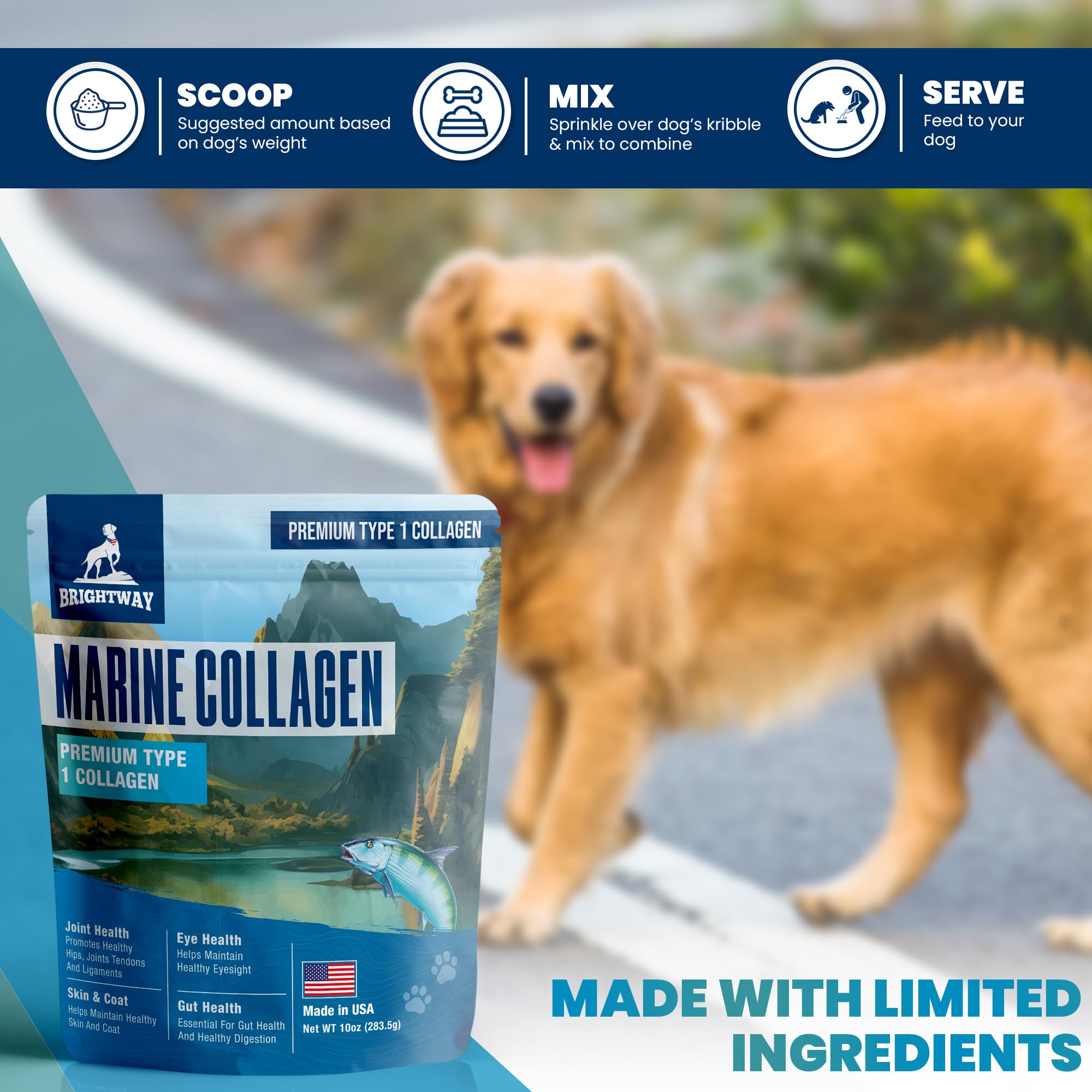 Brightway Pets dog with glossy coat illustrates potential skin and coat health benefits.