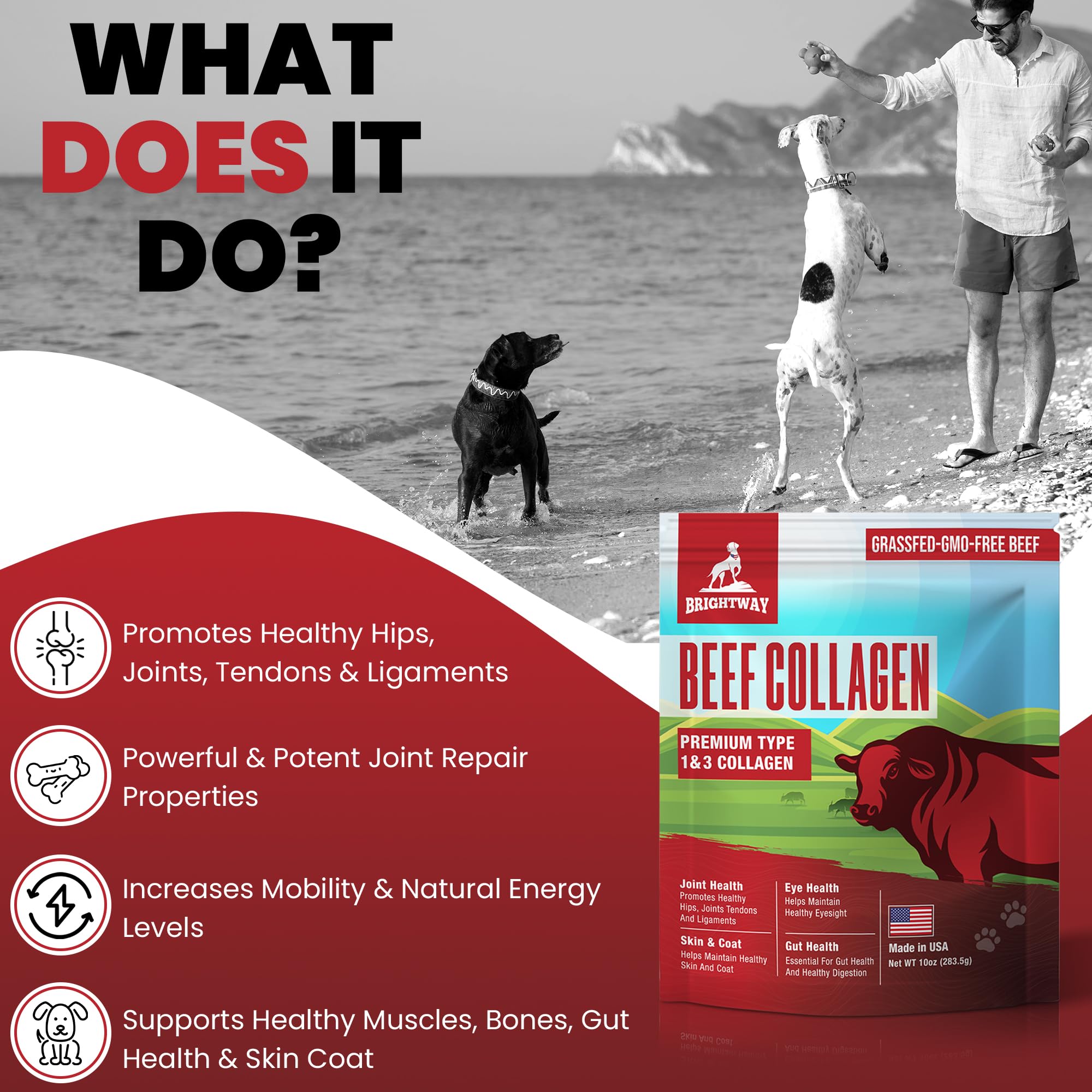 Brightway Pets Grass-Fed Collagen for Dogs ingredients label highlights Type 1 and 3 collagen without fillers